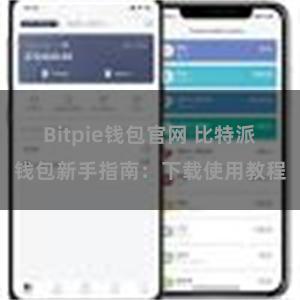 Bitpie钱包官网 比特派钱包新手指南：下载使用教程