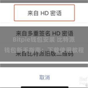 Bitpie钱包安装 比特派钱包新手指南：下载使用教程