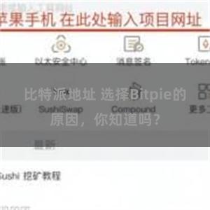 比特派地址 选择Bitpie的原因，你知道吗？