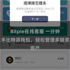 Bitpie在线客服 一分钟上手比特派钱包，轻松管理多链资产