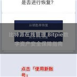 比特派在线管理 Bitpie数字资产安全保障指南