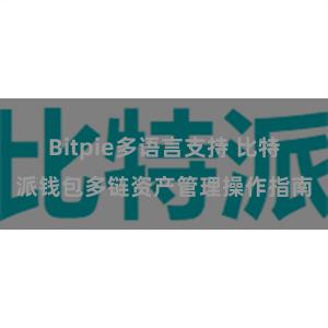 Bitpie多语言支持 比特派钱包多链资产管理操作指南