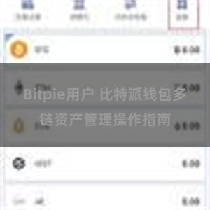 Bitpie用户 比特派钱包多链资产管理操作指南