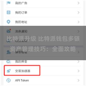 比特派升级 比特派钱包多链资产管理技巧：全面攻略