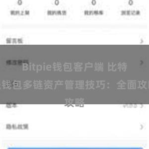 Bitpie钱包客户端 比特派钱包多链资产管理技巧：全面攻略