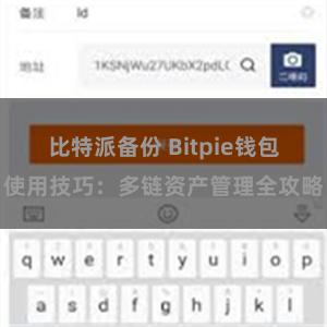 比特派备份 Bitpie钱包使用技巧：多链资产管理全攻略