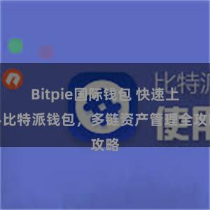 Bitpie国际钱包 快速上手比特派钱包，多链资产管理全攻略