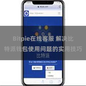 Bitpie在线客服 解决比特派钱包使用问题的实用技巧