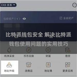 比特派钱包安全 解决比特派钱包使用问题的实用技巧