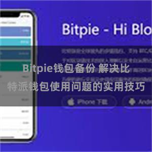 Bitpie钱包备份 解决比特派钱包使用问题的实用技巧