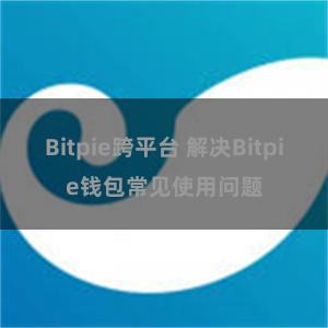 Bitpie跨平台 解决Bitpie钱包常见使用问题