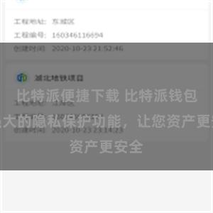 比特派便捷下载 比特派钱包：强大的隐私保护功能，让您资产更安全