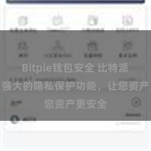 Bitpie钱包安全 比特派钱包：强大的隐私保护功能，让您资产更安全