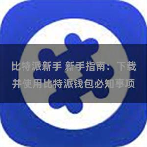 比特派新手 新手指南：下载并使用比特派钱包必知事项