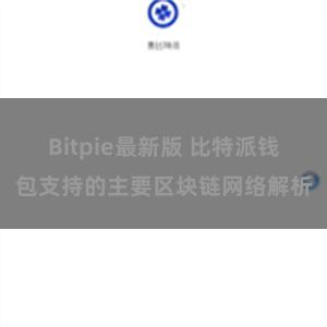 Bitpie最新版 比特派钱包支持的主要区块链网络解析