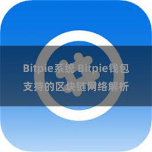 Bitpie系统 Bitpie钱包支持的区块链网络解析