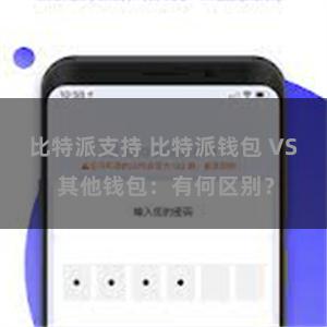 比特派支持 比特派钱包 VS 其他钱包：有何区别？