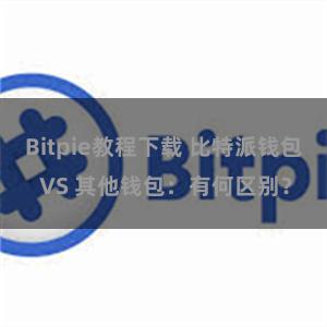 Bitpie教程下载 比特派钱包 VS 其他钱包：有何区别？