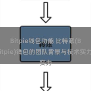 Bitpie钱包功能 比特派(Bitpie)钱包的团队背景与技术实力