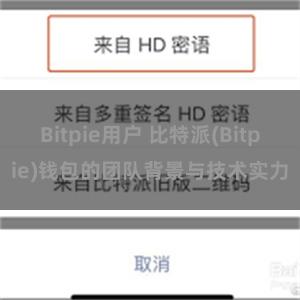 Bitpie用户 比特派(Bitpie)钱包的团队背景与技术实力