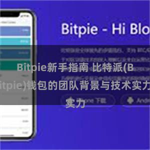 Bitpie新手指南 比特派(Bitpie)钱包的团队背景与技术实力