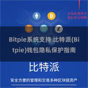 Bitpie系统支持 比特派(Bitpie)钱包隐私保护指南