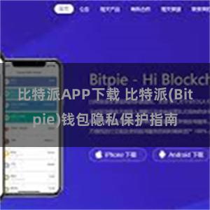 比特派APP下载 比特派(Bitpie)钱包隐私保护指南