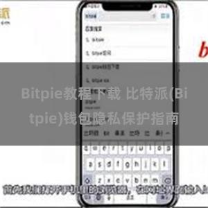 Bitpie教程下载 比特派(Bitpie)钱包隐私保护指南