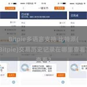 Bitpie多语言支持 比特派(Bitpie)交易历史记录在哪里查看？