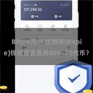 Bitpie用户 比特派(Bitpie)钱包是否支持BEP-20代币？