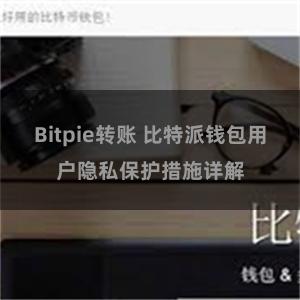 Bitpie转账 比特派钱包用户隐私保护措施详解