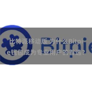 比特派移动版 为什么Bitpie钱包成为专业用户的首选？