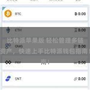 比特派苹果版 轻松管理多链资产，快速上手比特派钱包指南！