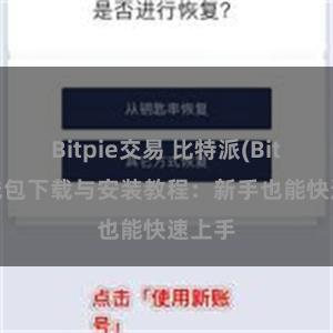Bitpie交易 比特派(Bitpie)钱包下载与安装教程：新手也能快速上手