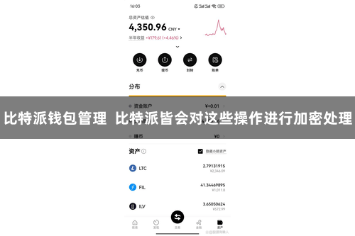比特派钱包管理  比特派皆会对这些操作进行加密处理