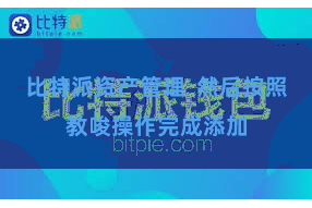 比特派资产管理  然后按照教唆操作完成添加