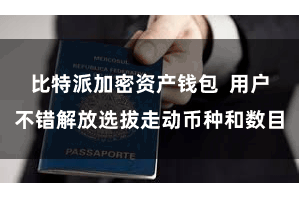 比特派加密资产钱包  用户不错解放选拔走动币种和数目