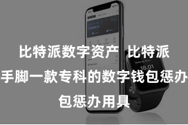 比特派数字资产  比特派钱包手脚一款专科的数字钱包惩办用具