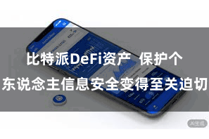 比特派DeFi资产  保护个东说念主信息安全变得至关迫切